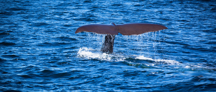 1548387725500071.jpg 1548387725500071.jpg