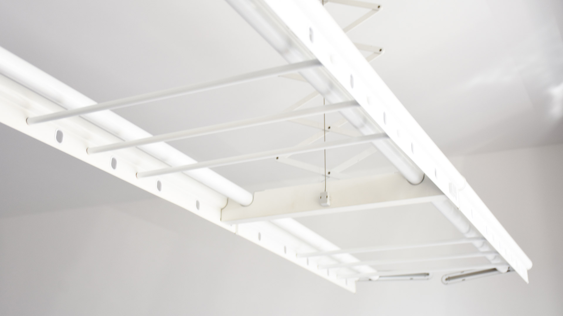 1631353266384056.jpg 1631353266384056.jpg