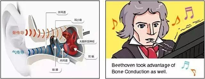 1650721164423972.jpg 2.jpg