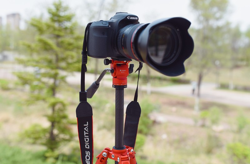 1654987948833015.jpg DSC_7243_副本.jpg