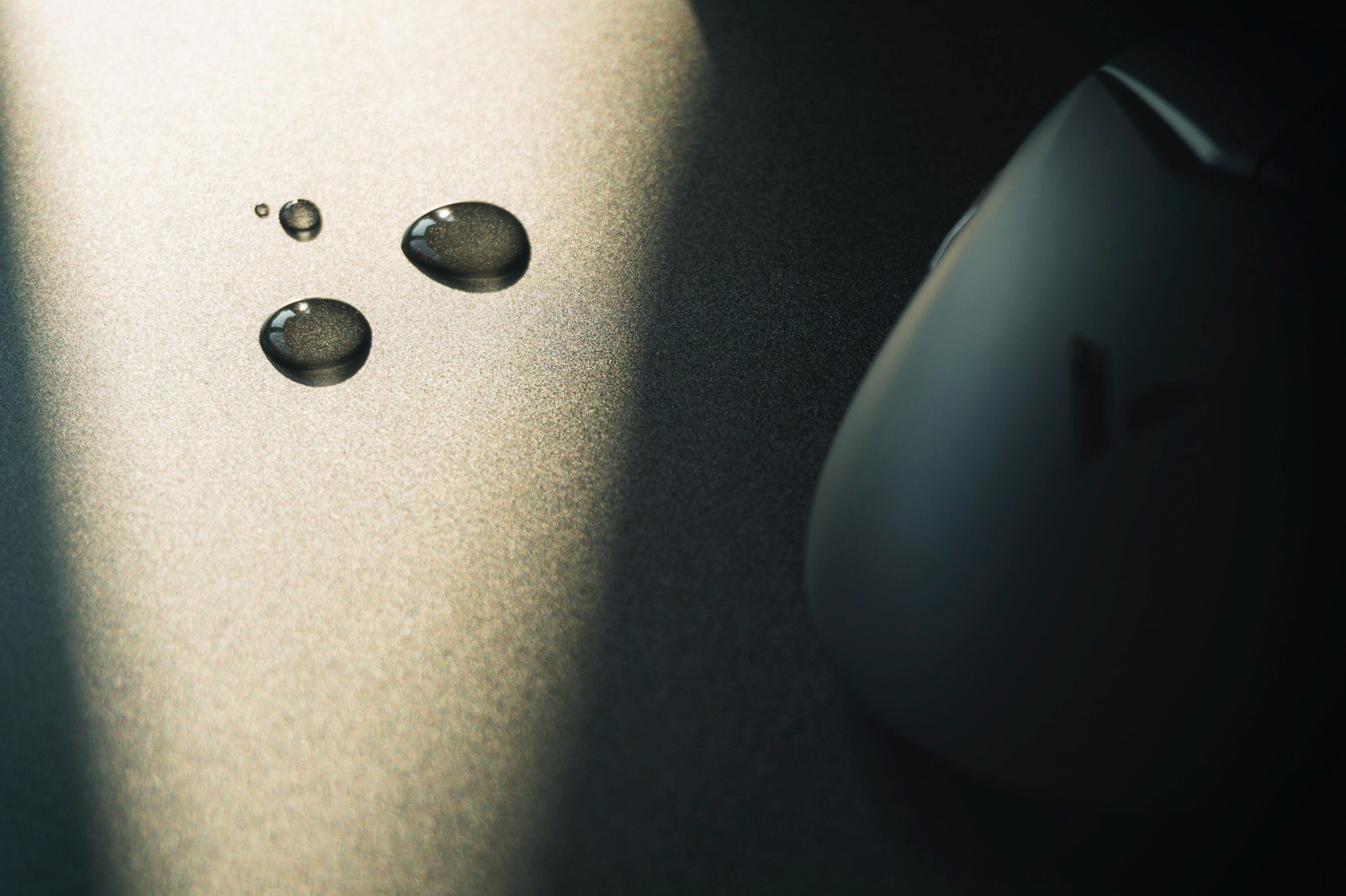 1678529154748600.jpg DSC05089-編輯.jpg