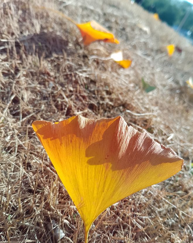 1705388301105691.jpg 16.jpg