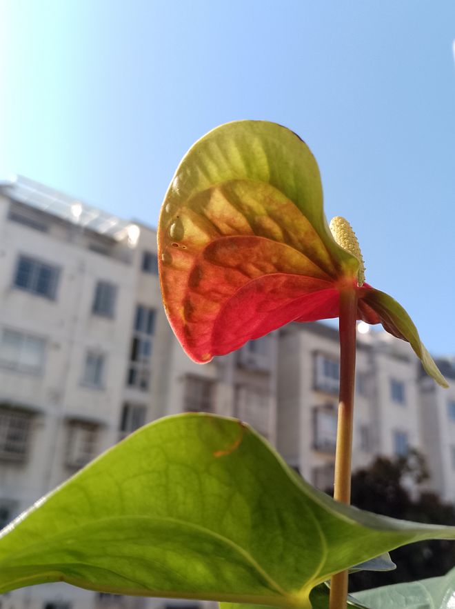 1705388362509388.jpg 18.jpg